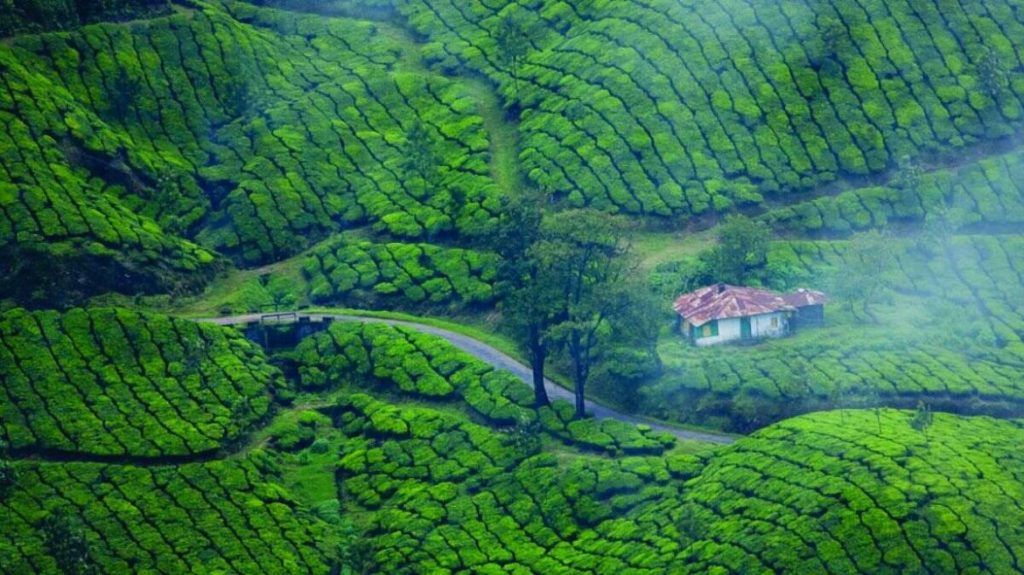 places to visit munnar