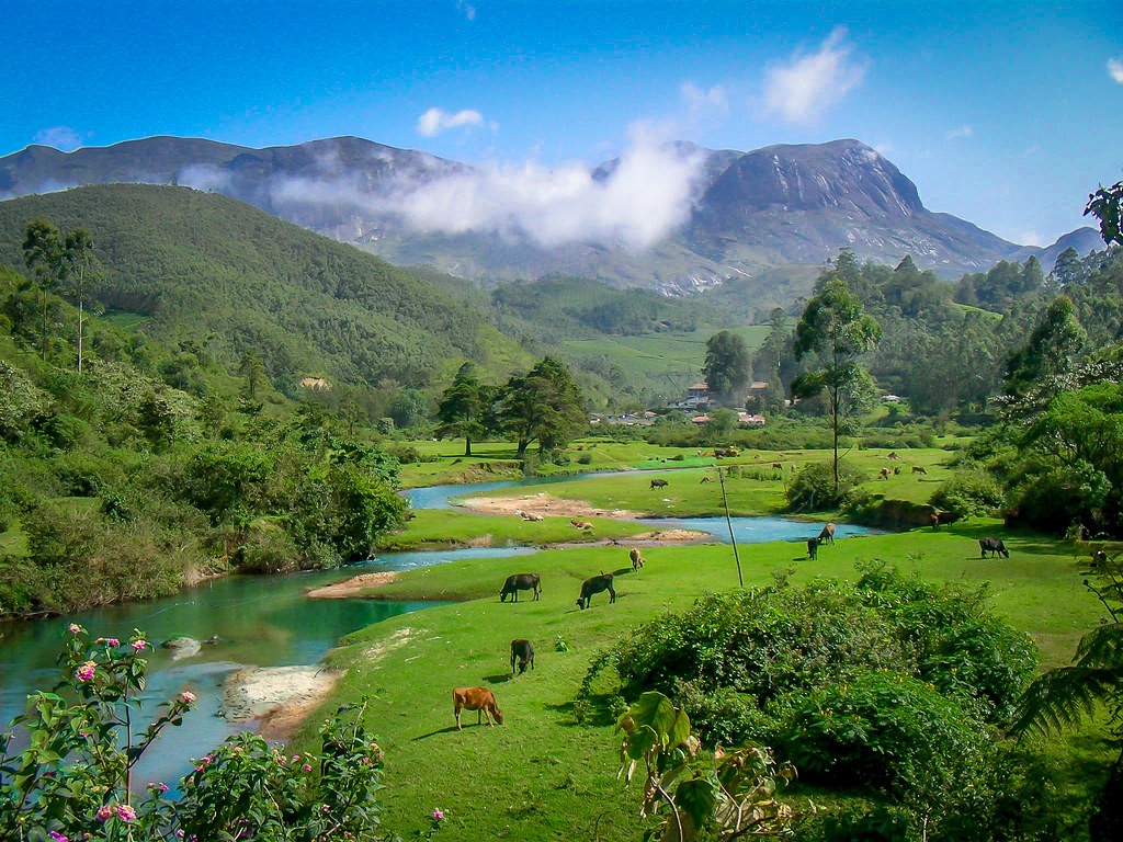 budget stay in munnar
